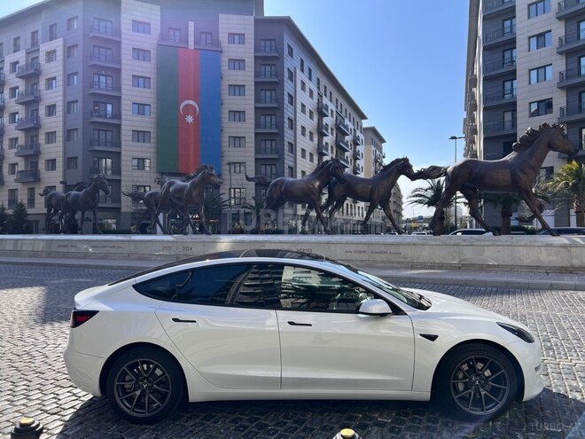 Tesla Model 3-9