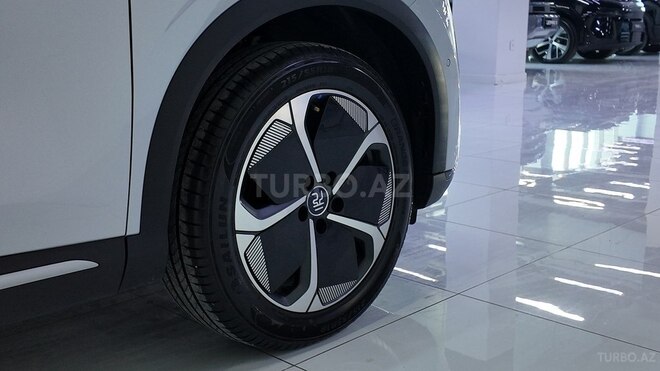 BYD Yuan Plus-13