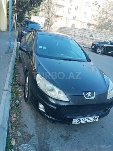 Peugeot 407-1