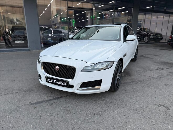 Jaguar XF-3
