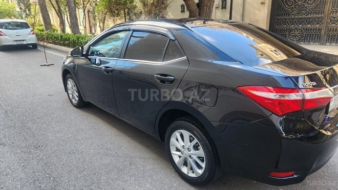 Toyota Corolla-4