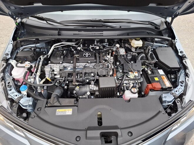 Toyota Corolla-15