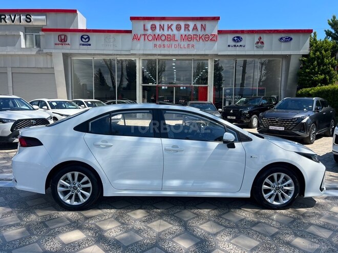 Toyota Corolla-6