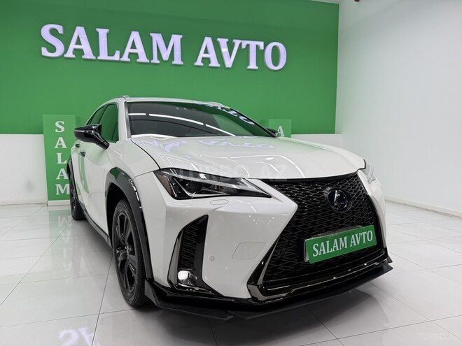 Lexus UX 250h-1