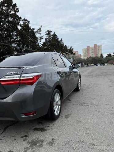 Toyota Corolla-4