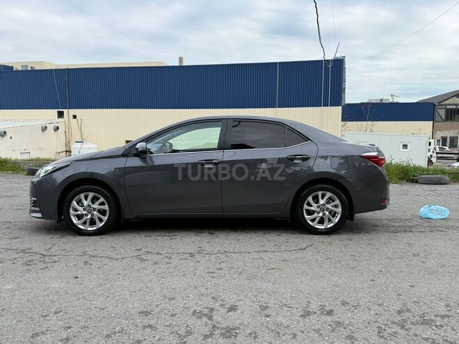 Toyota Corolla-6