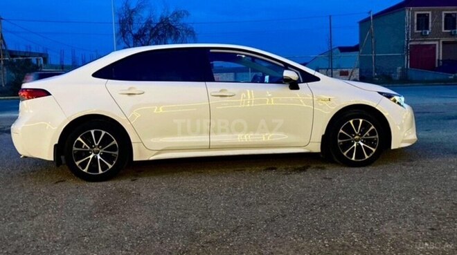 Toyota Corolla-10