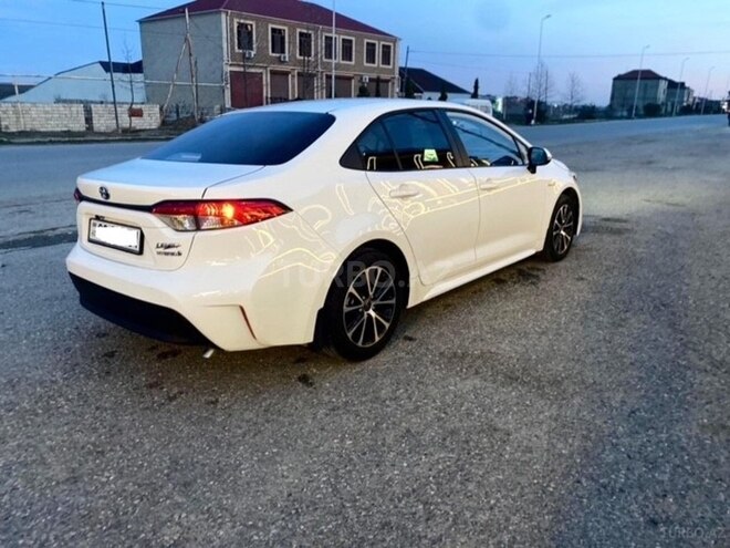 Toyota Corolla-6