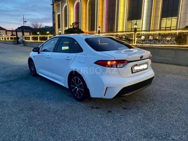 Toyota Corolla-7