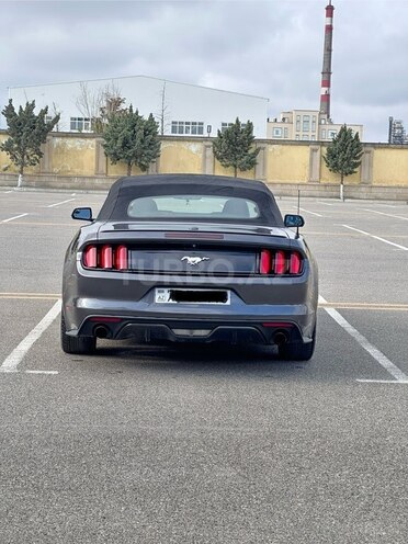 Ford Mustang-12