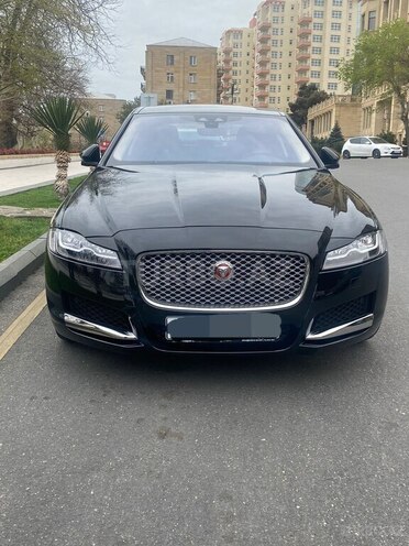 Jaguar XF-15