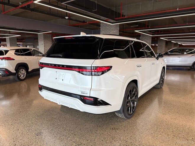 Lexus TX 500h-20