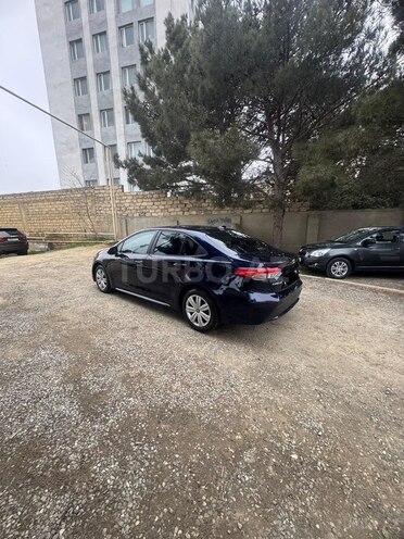 Toyota Corolla-6
