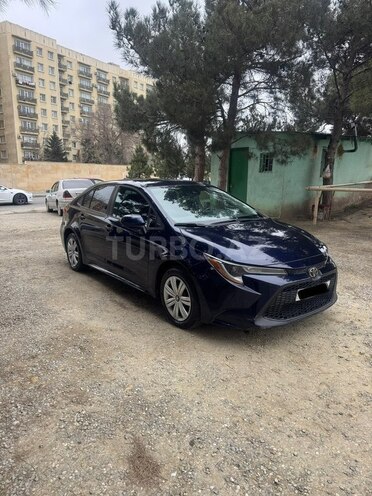 Toyota Corolla-5