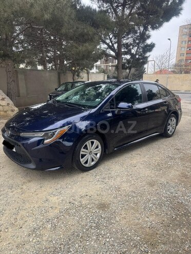 Toyota Corolla-3