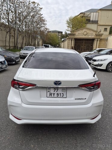 Toyota Corolla-4