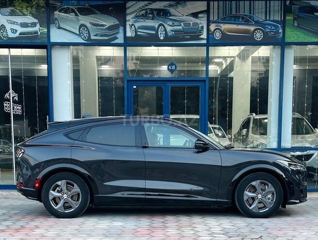 Ford Mustang Mach-E-14