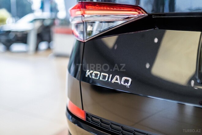 Skoda Kodiaq-8