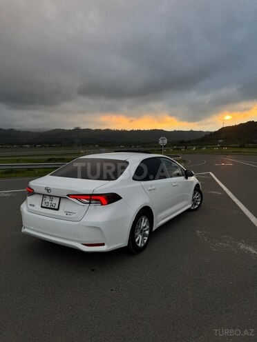 Toyota Corolla-4