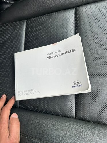 Hyundai Santa Fe-18