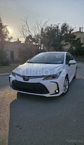 Toyota Corolla-1