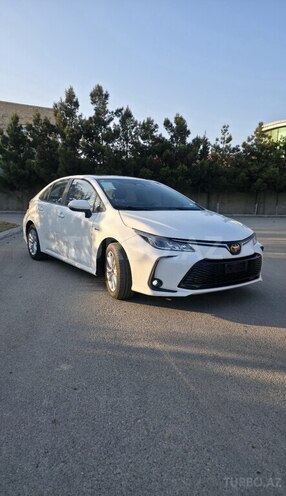 Toyota Corolla-2