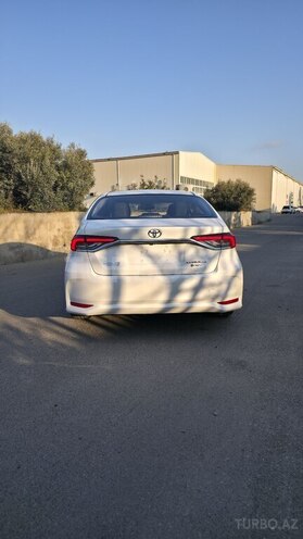 Toyota Corolla-5