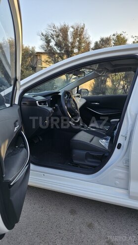 Toyota Corolla-6