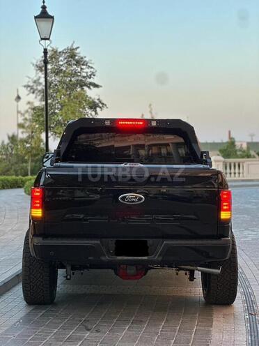 Ford F-150-12