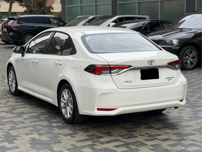 Toyota Corolla-6