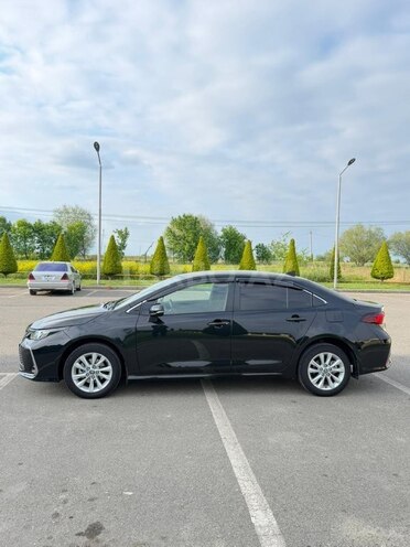 Toyota Corolla-6