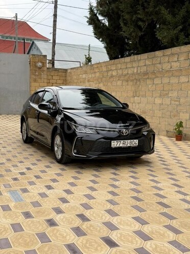 Toyota Corolla-8