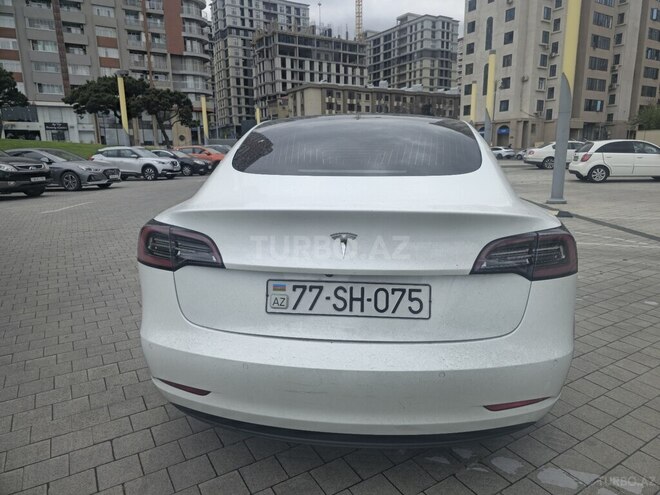 Tesla Model 3-3