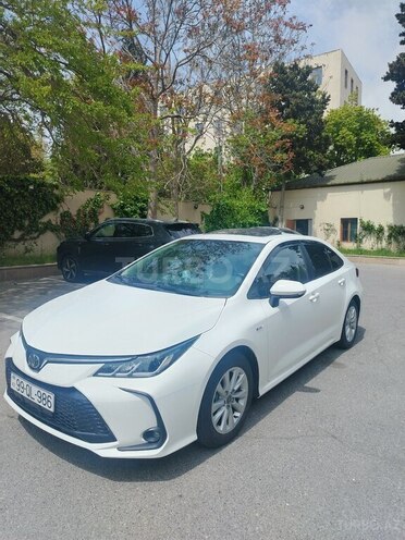 Toyota Corolla-9