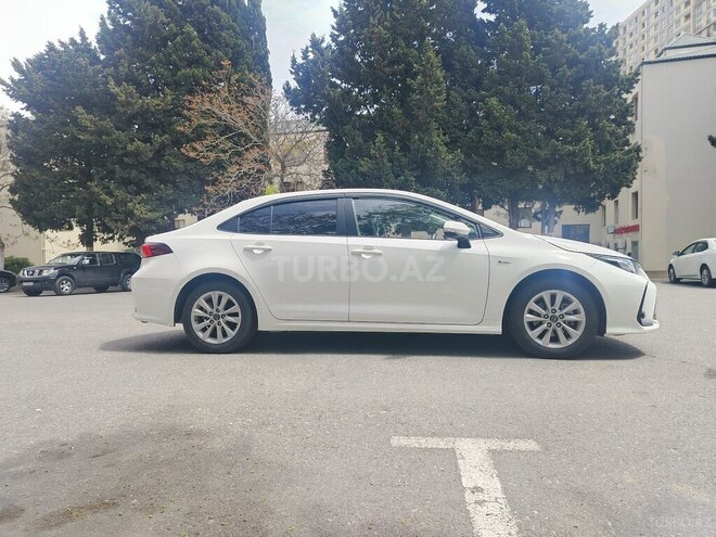 Toyota Corolla-13