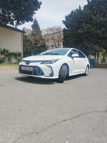 Toyota Corolla-1