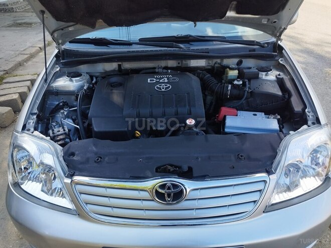 Toyota Corolla-15