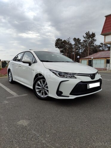 Toyota Corolla-1