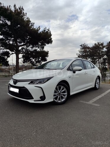 Toyota Corolla-7