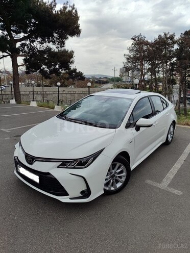 Toyota Corolla-6