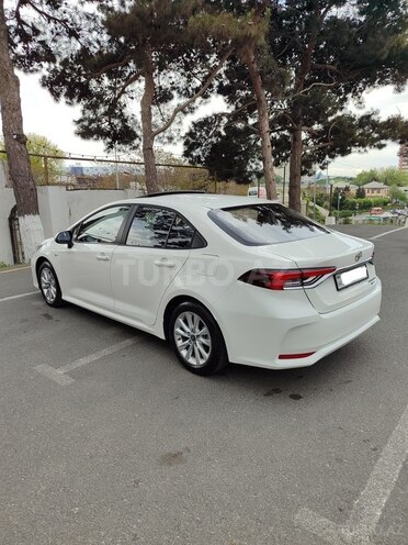 Toyota Corolla-2