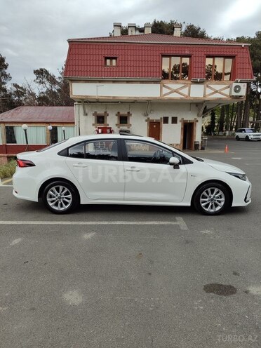 Toyota Corolla-15