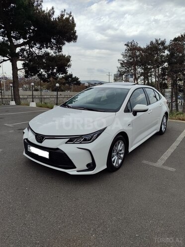 Toyota Corolla-8