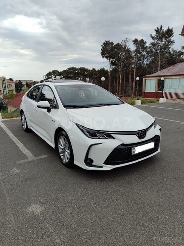 Toyota Corolla-10