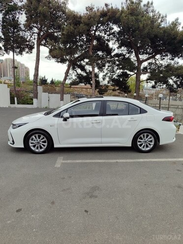 Toyota Corolla-16