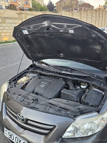 Toyota Corolla-13