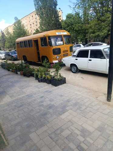 PAZ 3204-17