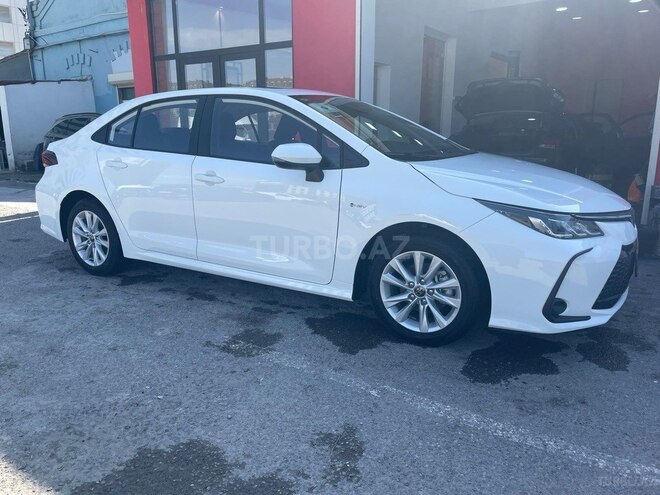 Toyota Corolla-7