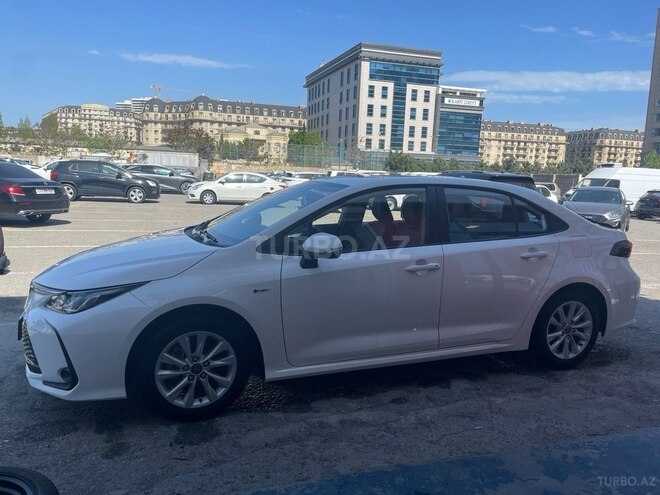 Toyota Corolla-6
