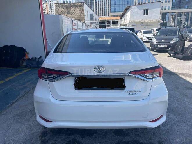 Toyota Corolla-10